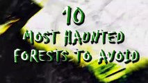 10 Most Haunted Forests to Avoid
