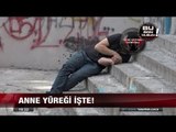 Bonzai Krizine 'Anne' Şefkati! - 13 Eylül 2017