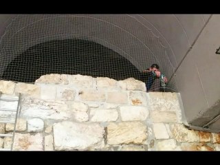 הרחקת יונים בתל אביב