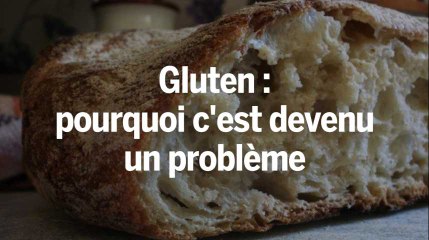 Gluten : pourquoi c'est devenu un problème