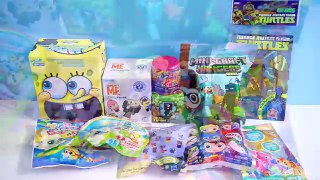 Surprise Blind Bag - My LittlePony, TMNT, Minecraft, SpongeBob, DC Comics, Funko, Yoohoo and More!