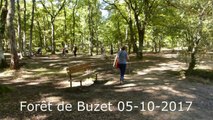 Foret-de-Buzet-05-10-2017