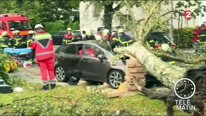 Allemagne : une tempête cause le décès de sept personnes