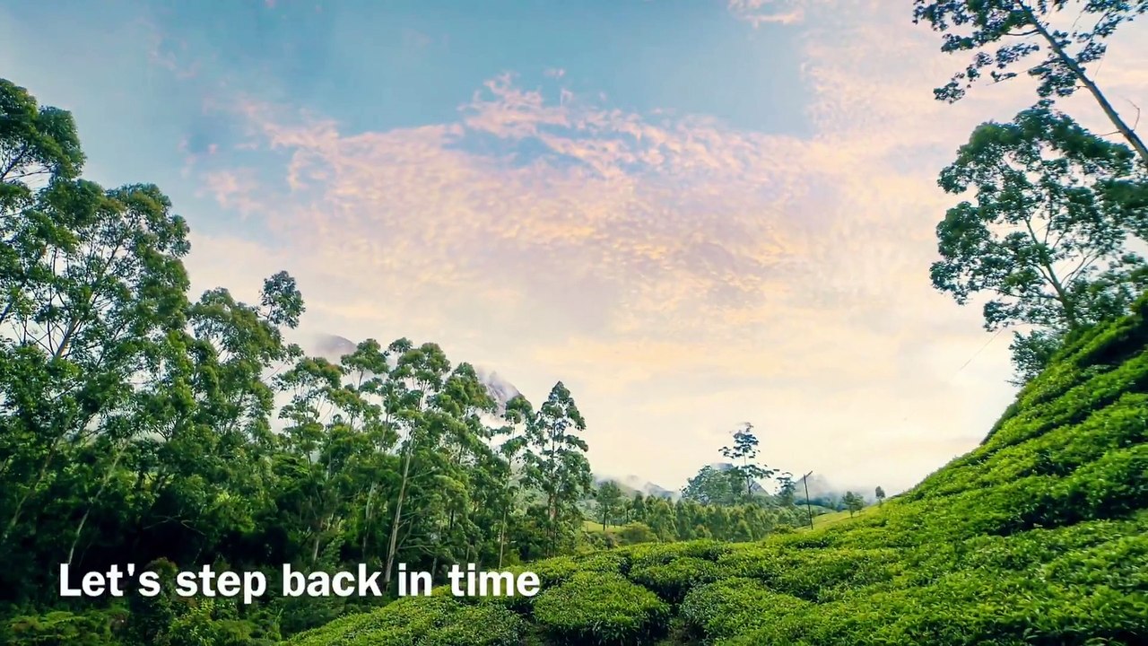 Munnar Tea Plantation