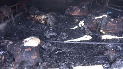 Gebe İnekler Yangında Telef Oldu