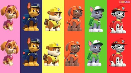 Patrones Para Niños con la Patrulla Canina, Masha y el Oso, Los Animales y Talking Tom | BaByKids