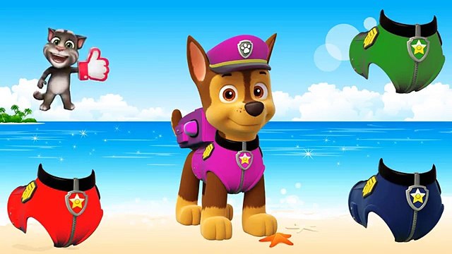 Wrong Eyes Masha Bears Spiderman Frozen Elsa Finger Family Learn Colors For Kids