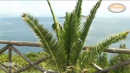 Δωρεά της  REDPATH στο Ιατρείο της Ολυμπιάδας στην Χαλκιδική