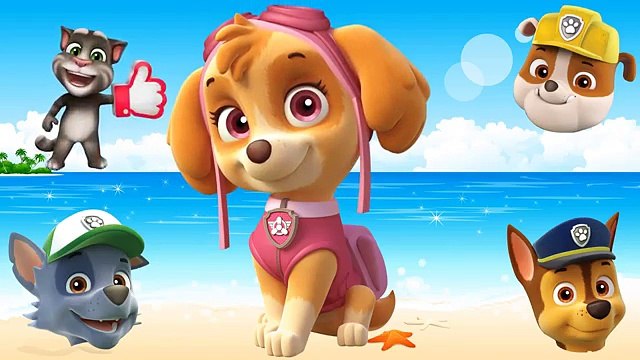 Wrong Heads Paw Patrol Finger Family Learn Colors Nursery Rhyme For Kids, Children And Babies