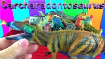 DINOSAUR Box 22 TOY COLLECTION Dinosaurs LETTER C Dino - Kids Toy Review Unboxing SuperFunReviews