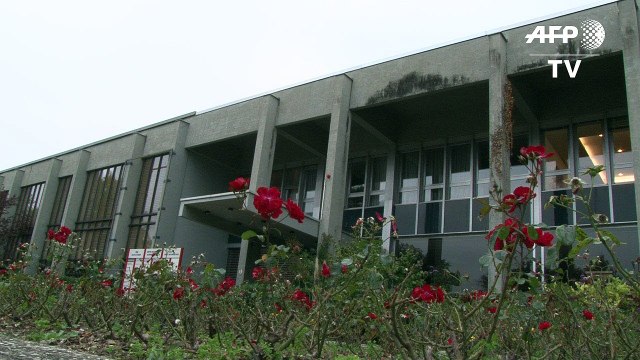 Le Nobel de la paix va à la campagne antinucléaire ICAN