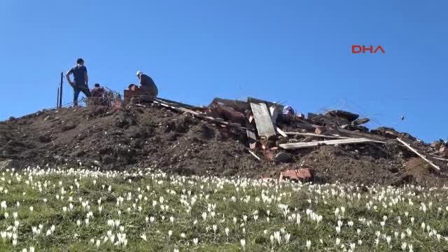 Trabzon'da Yaylada Kaçak Yapı Yıkım Gerginliği