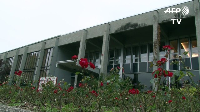 Le Nobel de la paix va à la campagne antinucléaire ICAN