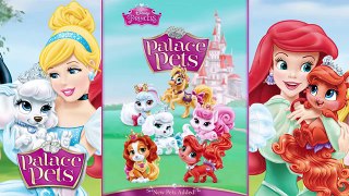 ♥ Disney Princess Palace Pets Cinderella All Pets Compilation (Slipper Kitty, Pumpkin & Bibbidy)