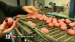 Scandale du fipronil : épargnés par l'insecticide, les œufs français voient leurs prix s'envoler