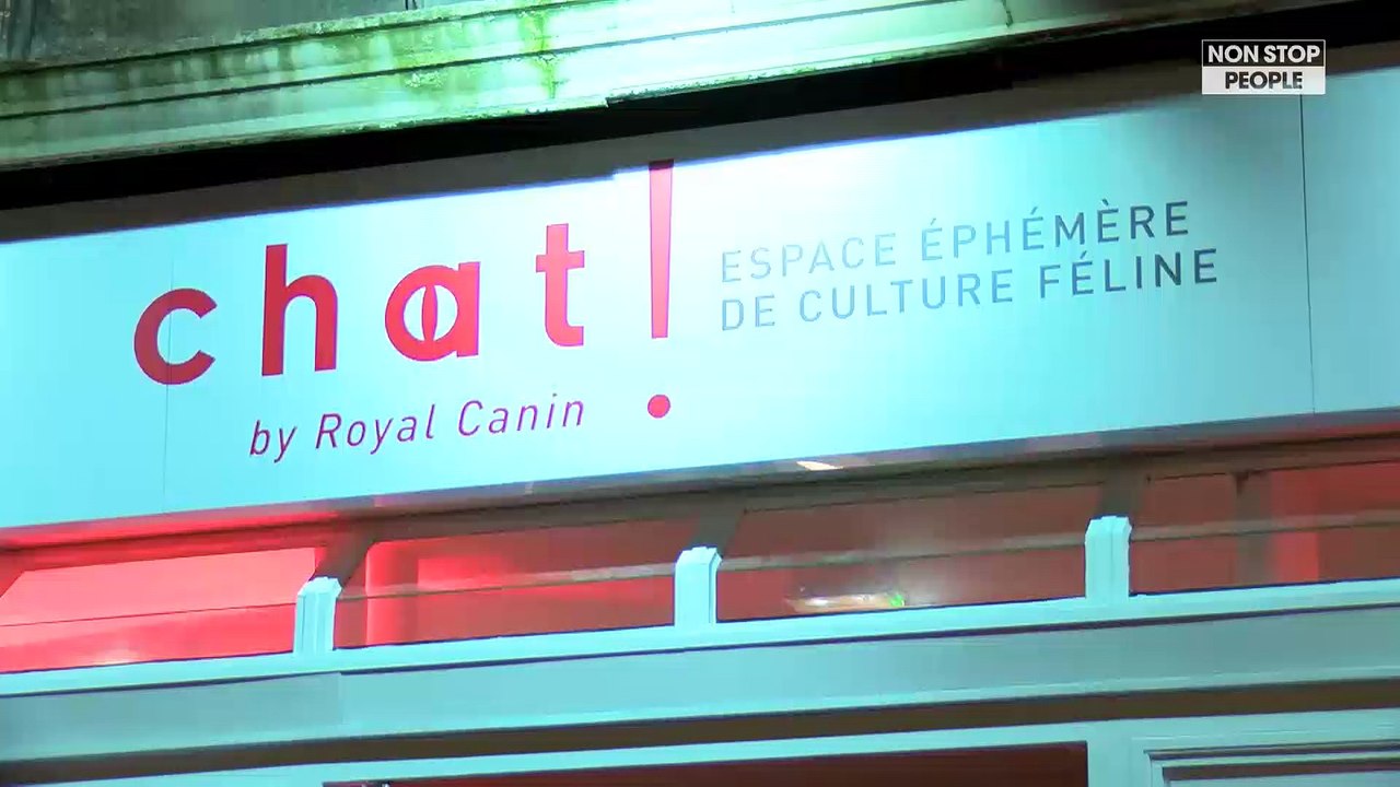 Julie Depardieu, Zoé Felix, Marilou Berry emballées par l’espace "Chat ! by Royal Canin" ( exclu vidéo)