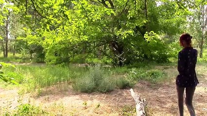 Вызов денежного гномика | Ритуал для привлечения денег