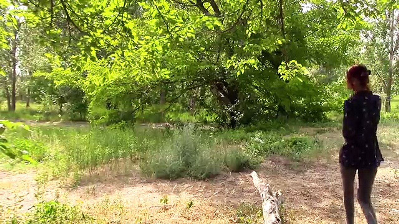 Вызов денежного гномика | Ритуал для привлечения денег