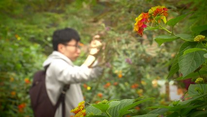 "몸과 마음 달래요"...명절 후유증 '힐링' / YTN