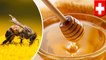 Most of the world's honey contains yummy pesticides