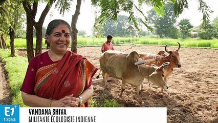 Vandana Shiva, rock-star anti-OGM