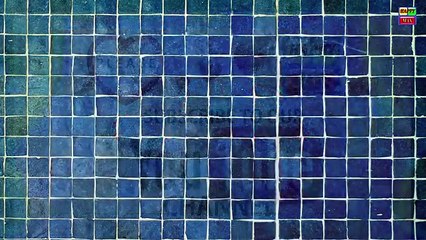 Learning Videos Cars for Kids Transportation sounds Car, Airplane, Truck, Bulldozer