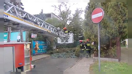 Hurricane wreaks havoc in Poland