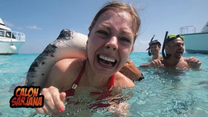 10 HEWAN LAUT YANG BENTUKNYA LUCU TAPI TERNYATA SANGAT BERBAHAYA DAN MEMATIKAN!!!