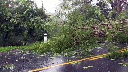 Tormenta Nate deja al menos 11 muertos en Nicaragua