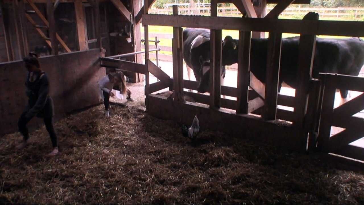 Een nieuwe Bas in Utopia?