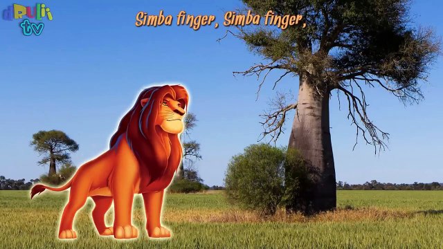 Lions Finger Family Song | Simba, Alex | Real and Cartoon LIONS | Nursery Rhymes for kids