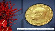 Nobel Peace Prize 2017: Nuclear disarmament group ICAN win prestigious accolade