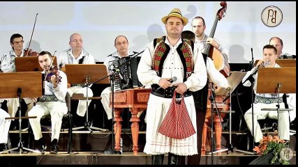 Vlad Ionut David (Bihor) - LIVE - Dragu-mi a mere-n lunca - 2017