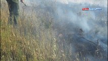 Andria: incendio fa strage di piante autoctone causata dall'ignoranza di alcuni contadini