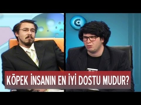 Köpek İnsanın Dostu mudur? - Cevizkıran
