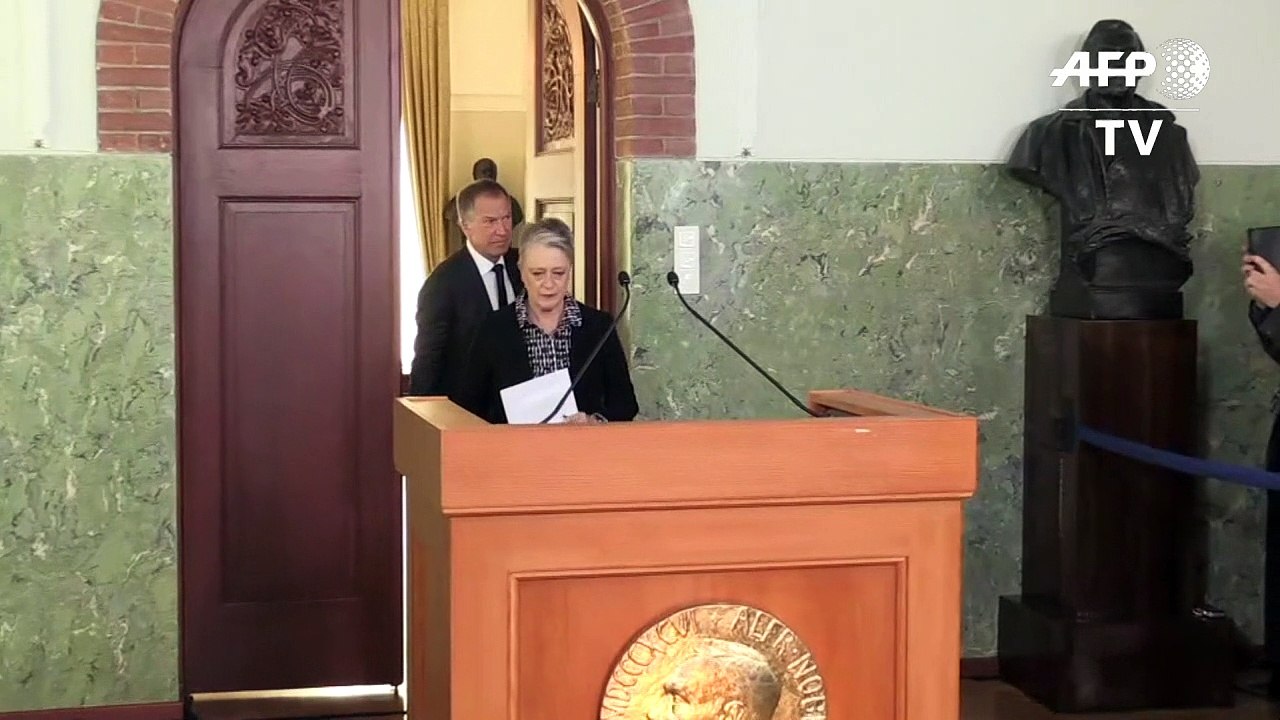 Friedensnobelpreis geht an Anti-Atomwaffenbewegung Ican