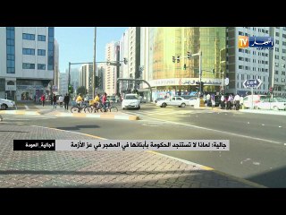 لماذا لا تستنجد الحكومة بأبنائها في المهجر في عز الأزمة ؟