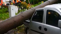 Tempestade Xavier provoca mortes na Alemanha