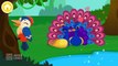 Learn animal traits and behaviors - Fun ivities game by BabyBus for Kids & Babies