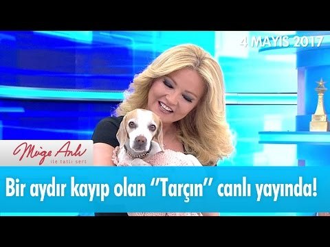Bir aydır kayıp olan Tarçın canlı yayında! Müge Anlı ile Tatlı Sert 4 Mayıs 2017- atv