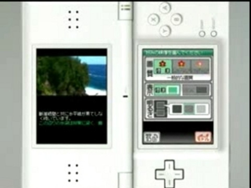 Nintendo DS TV