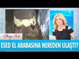 Esed el arabasına nereden ulaştı? - Müge Anlı ile Tatlı Sert 11 Eylül 2017 HD