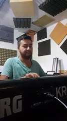 Ladi-Erdhi pranvera celi qershia 2017