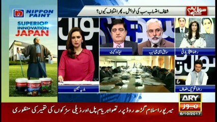 Confining parliament and handing over to judiciary is not appropriate: Shehla Raza