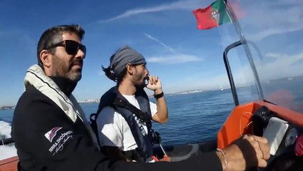 Orcas visitam Almada vídeo – Terra Incognita salling academy e ECCO Ocean - continuação parte dois