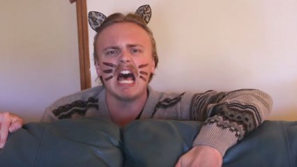 Les chats à 3h du matin (Sketch)