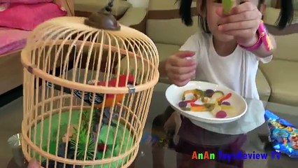 Trò Chơi Bé Tập Nuôi Chim – AnAn Bóc Kẹo Cho Chim Ăn ❤ AnAn ToysReview TV ❤