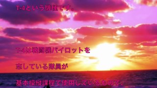 【航空自衛隊】人間離れの神業〜ブルーインパルスはトップガンも超える？！飛行機が好きになってしまう衝撃のパフォーマンス【なぎさチャンネル】