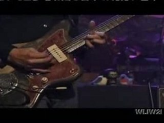 W I L C O | Side With The Seeds