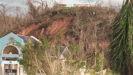 Barranquitas busca revivir y volver a ser verde tras paso de María